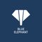 Jinan Blue Elephant CNC Machinery Co., Ltd.