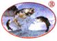 Fujian Yunxing Fishing Products Co., Ltd.