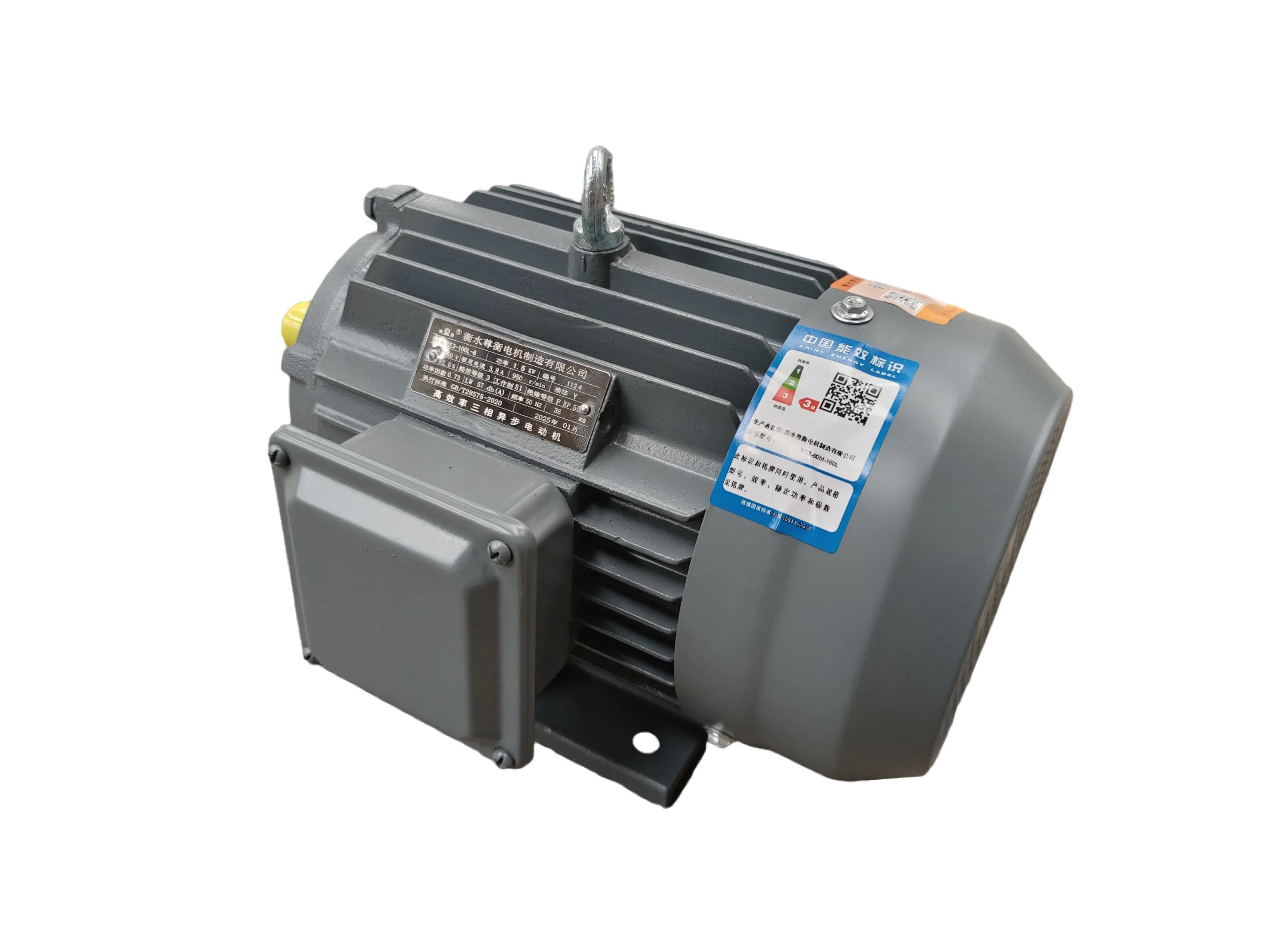 Electric Motor, AC, Induction, Three Phase, Asynchronous, High Efficiency
