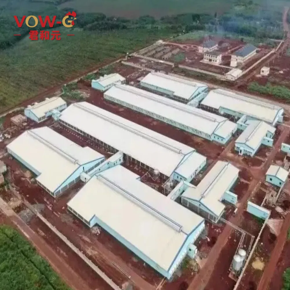 Industrial Steel Structure Pig House Building Prefabricated Modern Automatic Pig Farm