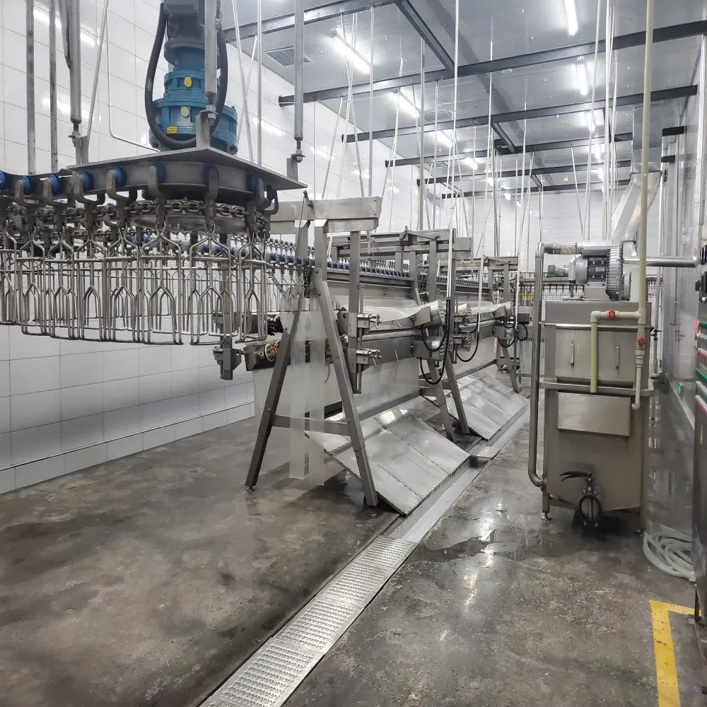 High Capacity Chicken Slaughter Line for 500-10000bph