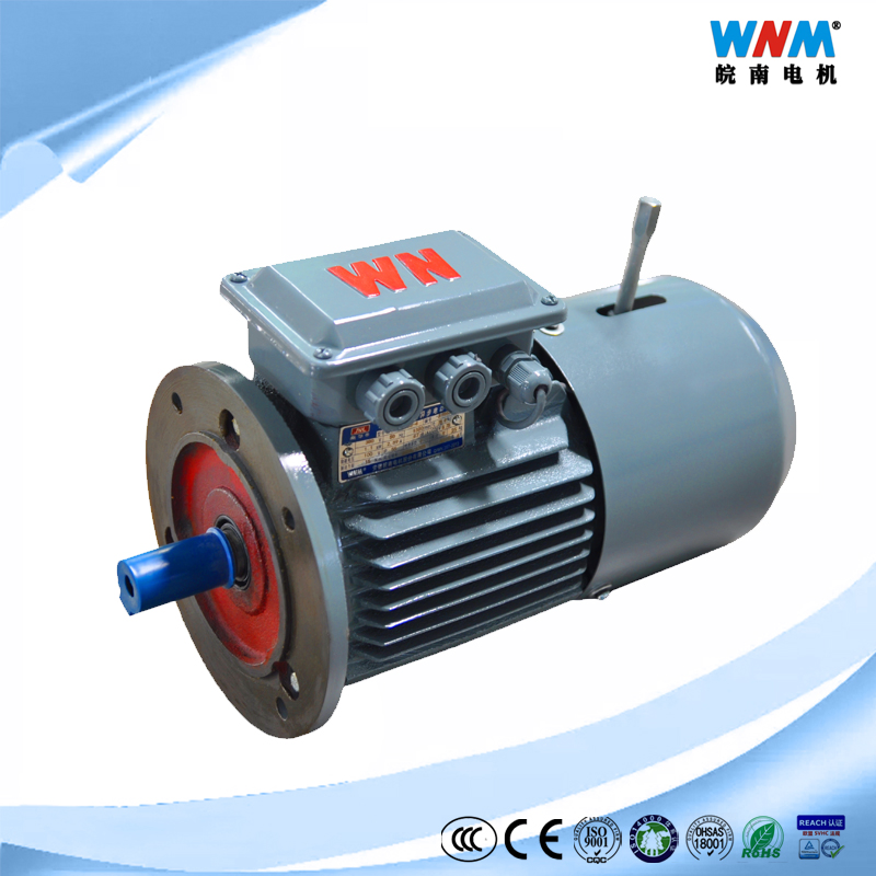 Yxej Ce Approved Ie2 High Efficiency AC Squirrel-Cage Brake Electric Motor