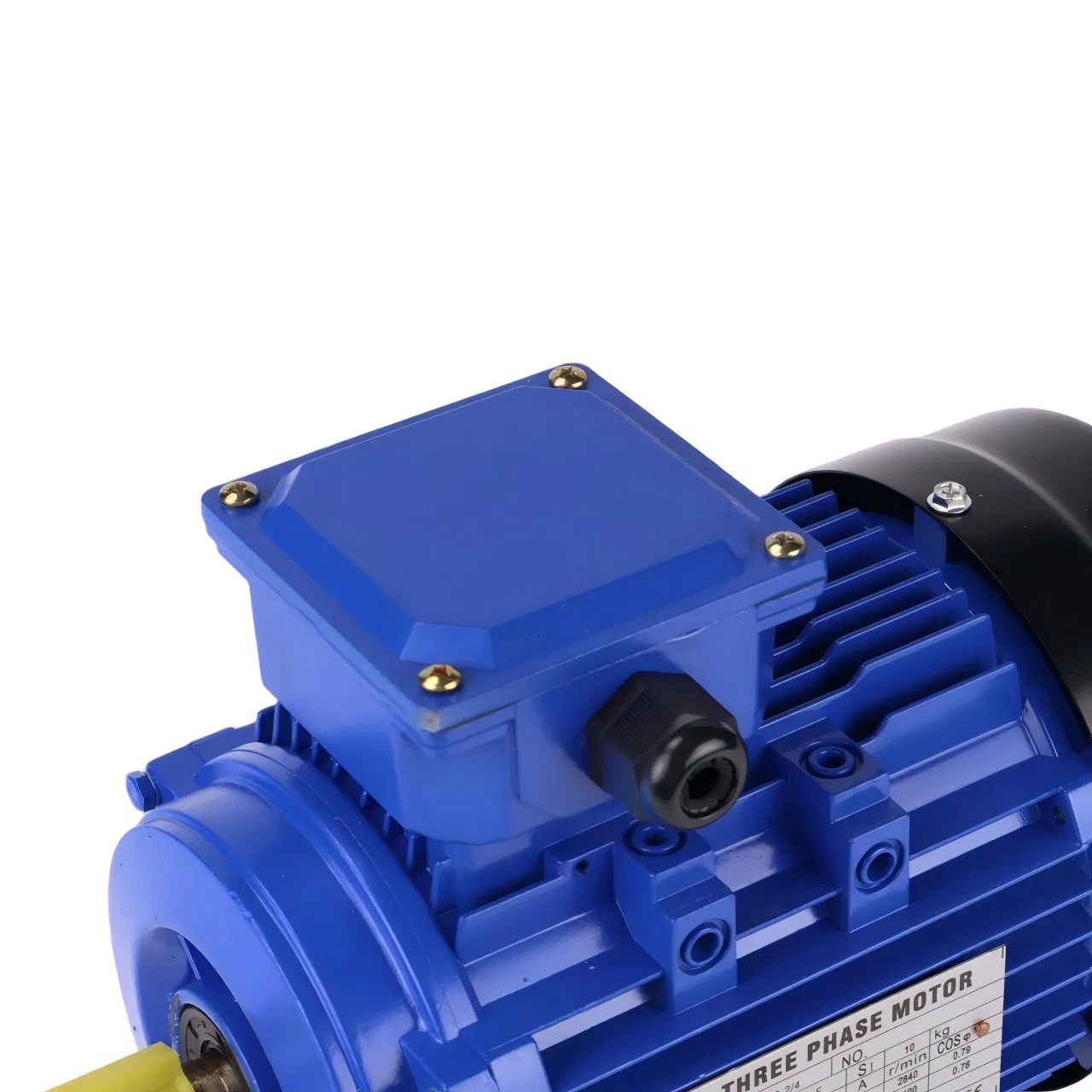 Three Phase Electric Motor, High Protection Class, IEC Standards