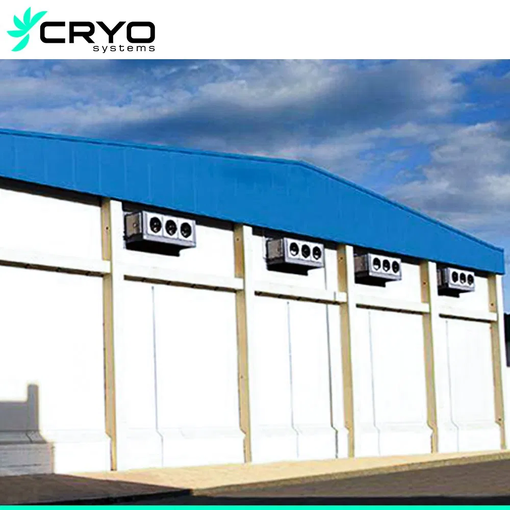 Chicken Meat Fish Freezer Room Cold Room Storage