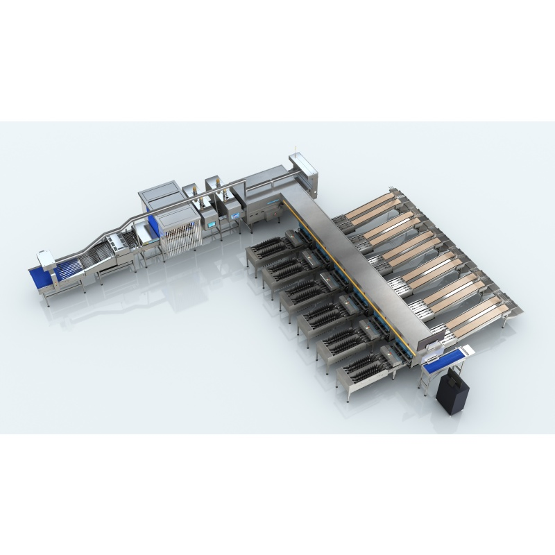 120000 Eggs/Hour 12 Rows Conveyor Grading Packing Machine with Single Egg Handling for Poultry Farm Use Weighing System Above The Egg Flow