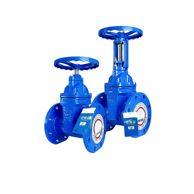 Customized Rising Stem Soft Seal Gate Valve Z41X-16q Manual Dark Stem Ductile Iron Flange Valve for Industry