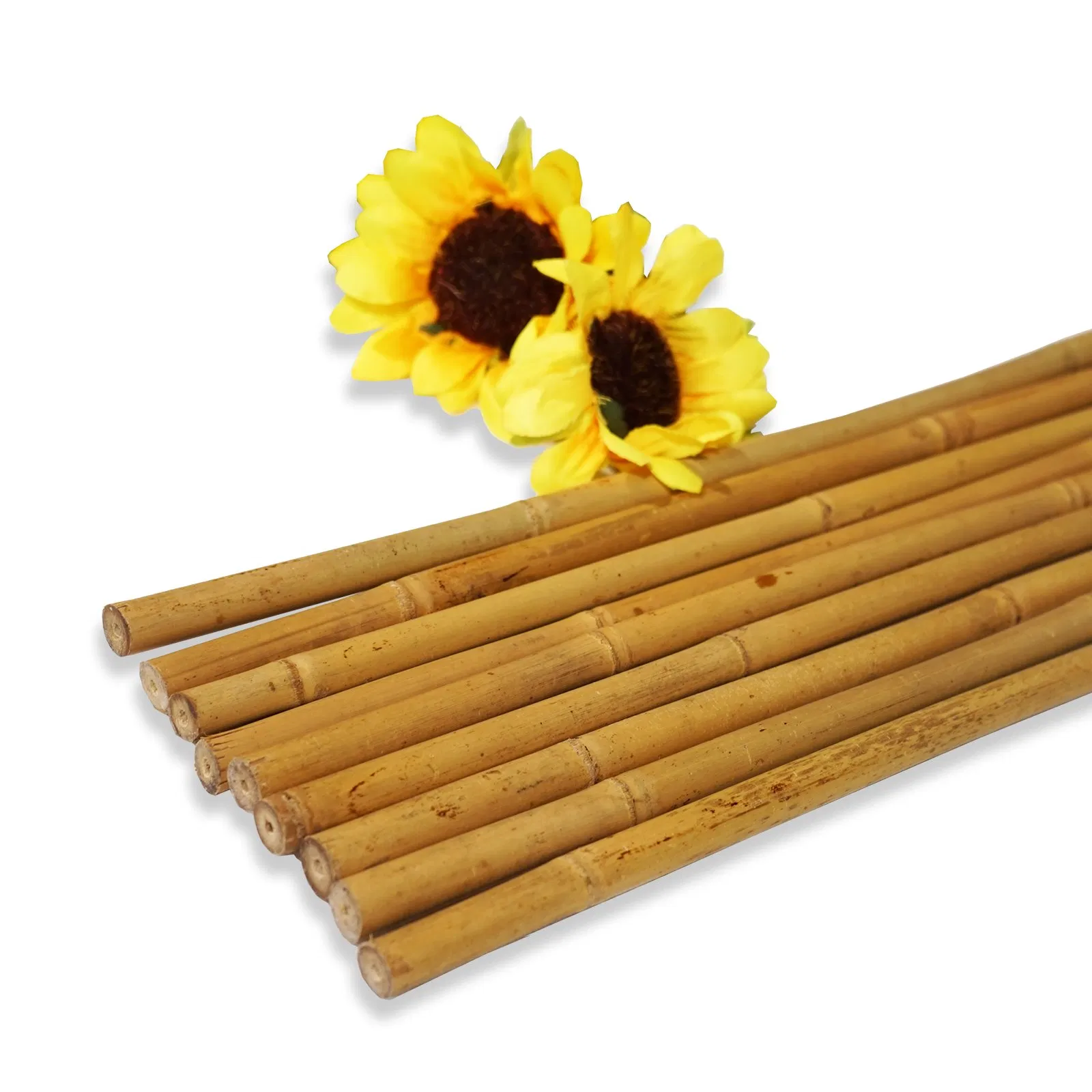 Custom Bamboo Raw Materials Tonkin Bamboo Stakes Bamboo Poles Garden Canes for Flower and Plant Support Garden Decoration