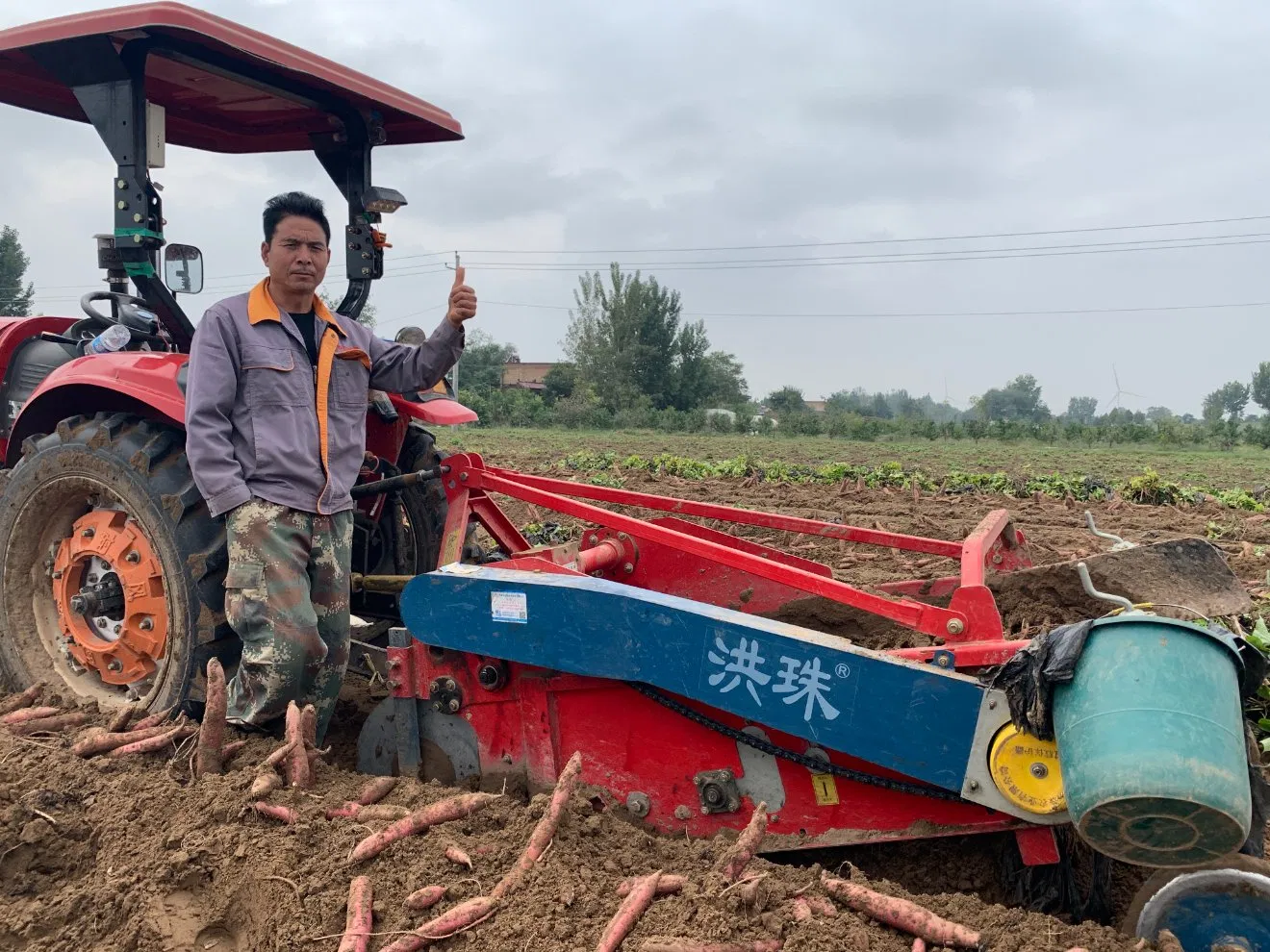 Potato Harvester 4u-180d