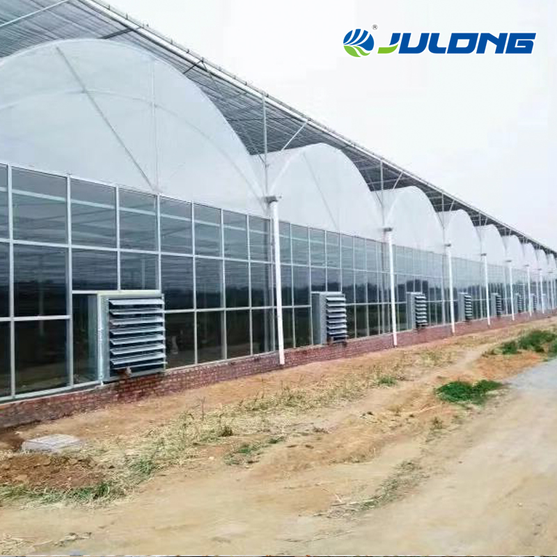 Agricultural Commercial Strawberry Hydroponics Tunnel Plastic Film Multi-Span Greenhouse